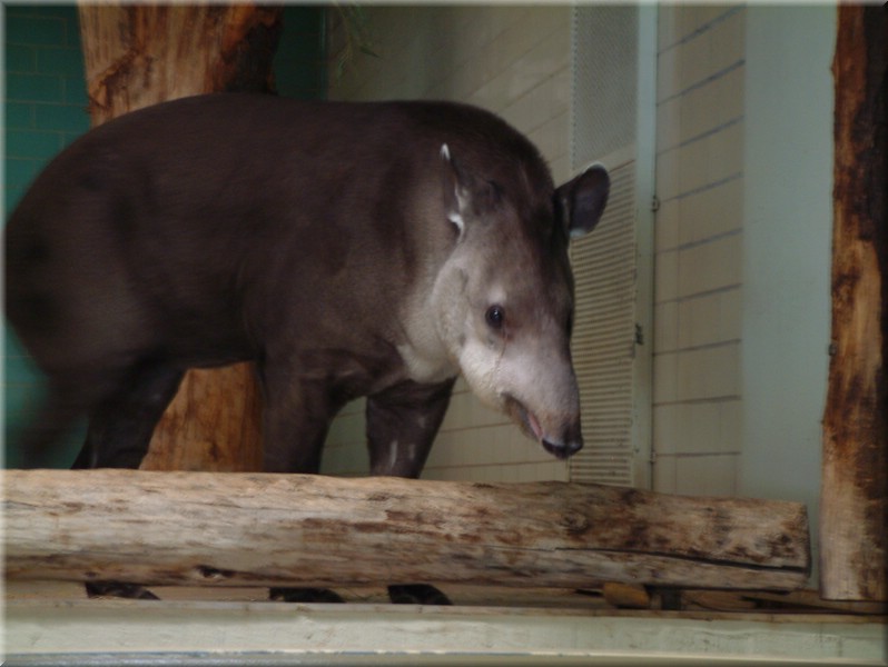 DSCF0845.JPG