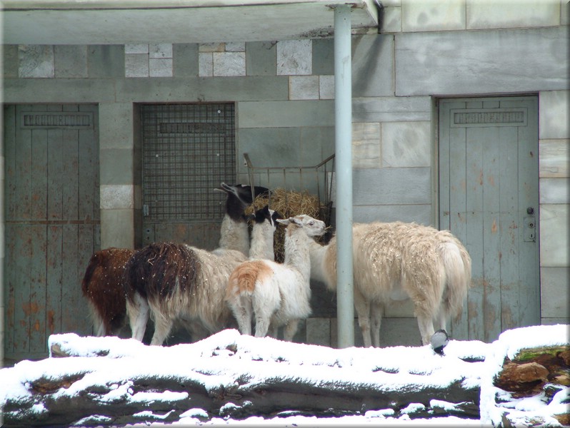 DSCF0858.JPG