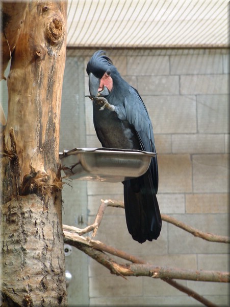 DSCF0883.JPG
