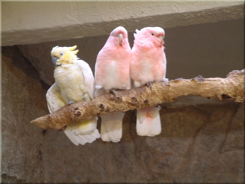 DSCF0898.JPG