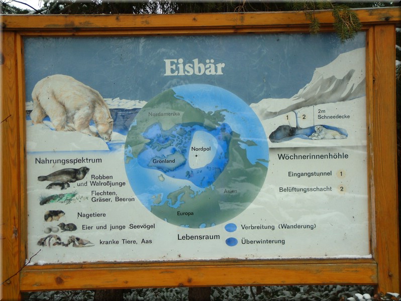 DSCF0911.JPG