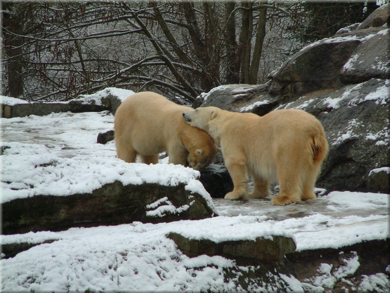 DSCF0917.JPG