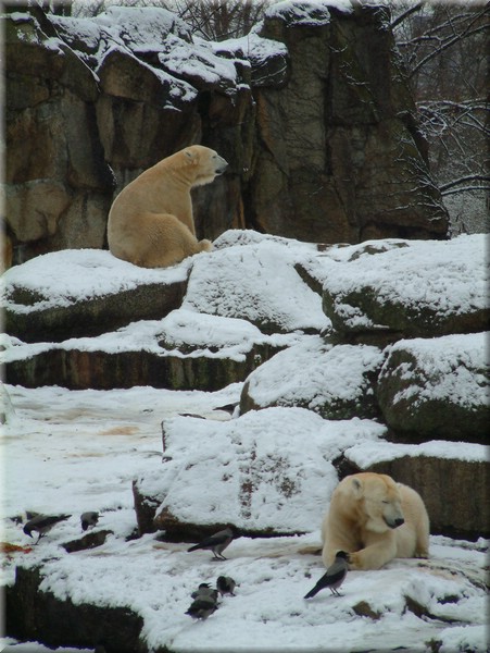 DSCF0922.JPG