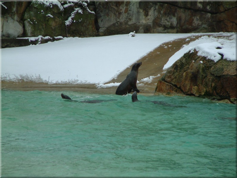 DSCF0934.JPG
