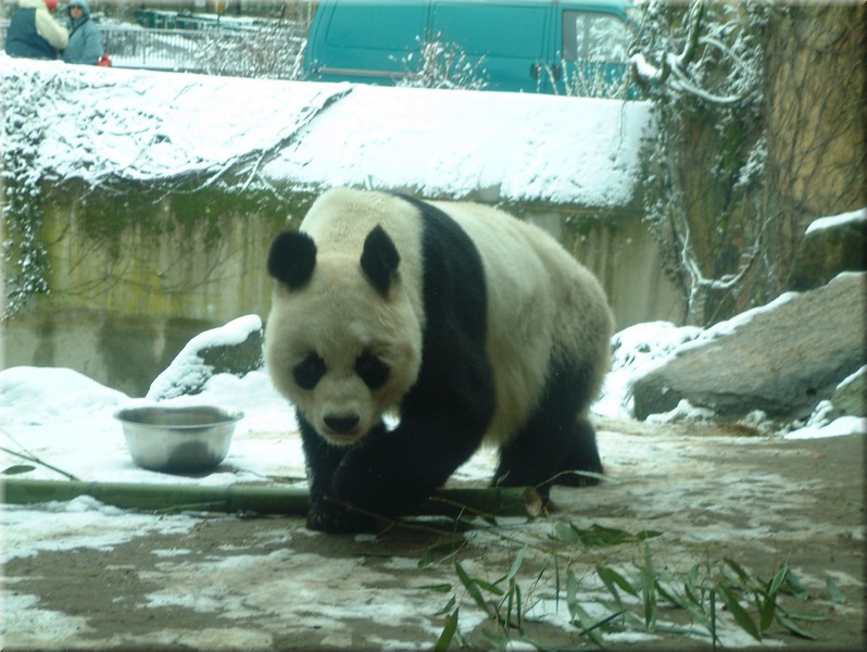 DSCF1009.JPG