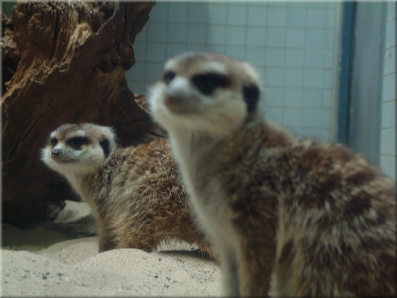 DSCF1042.JPG
