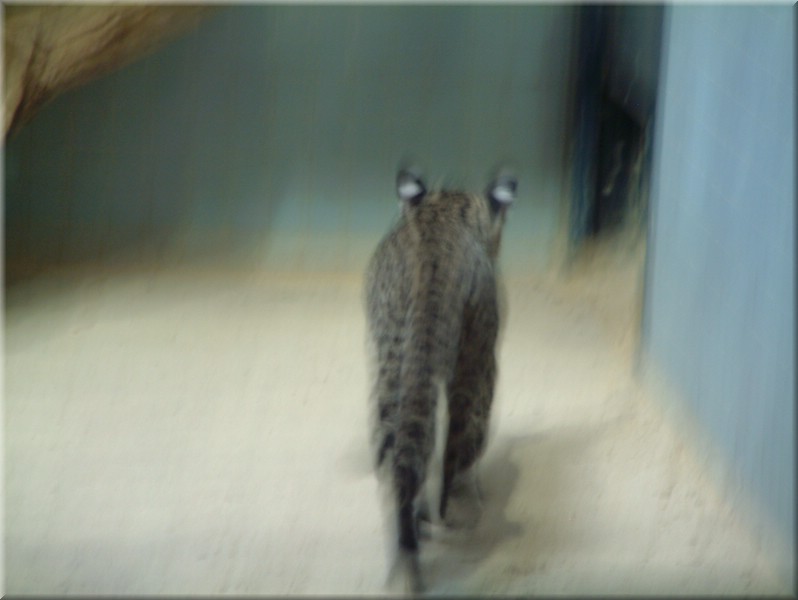 DSCF1053.JPG