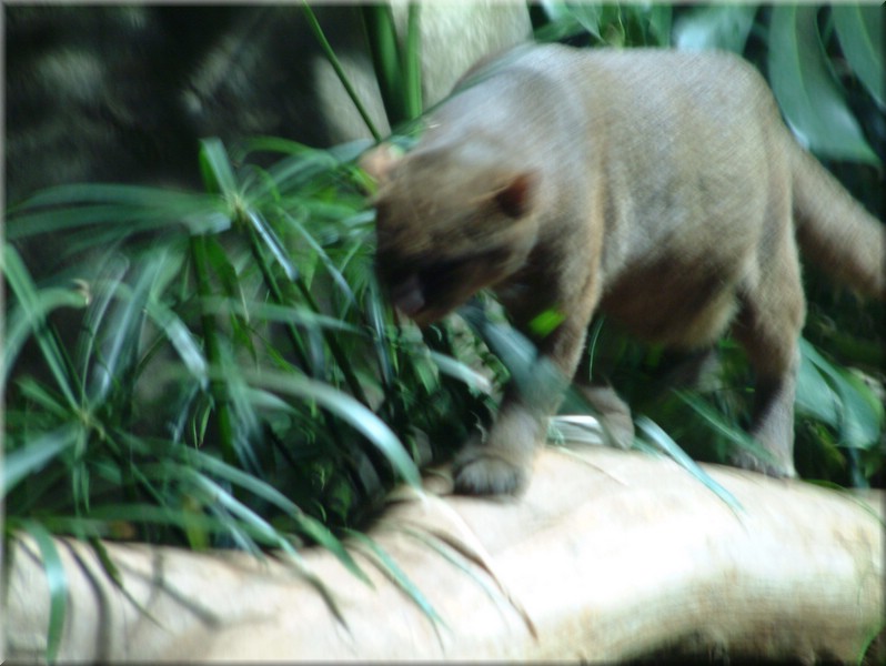DSCF1068.JPG