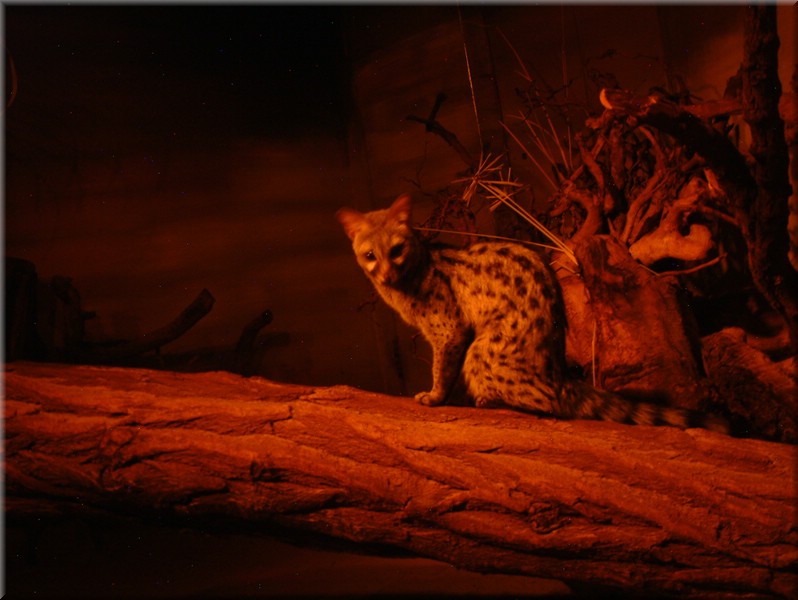 DSCF1084.JPG
