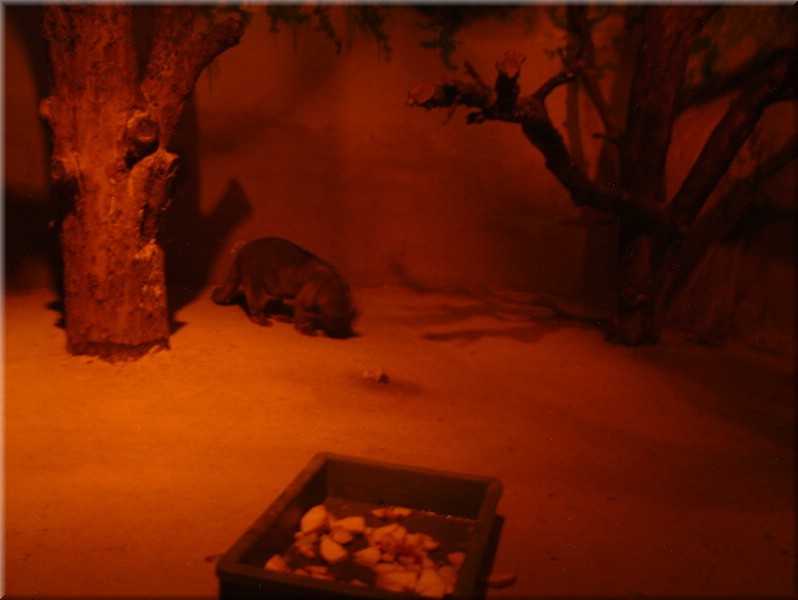 DSCF1086.JPG