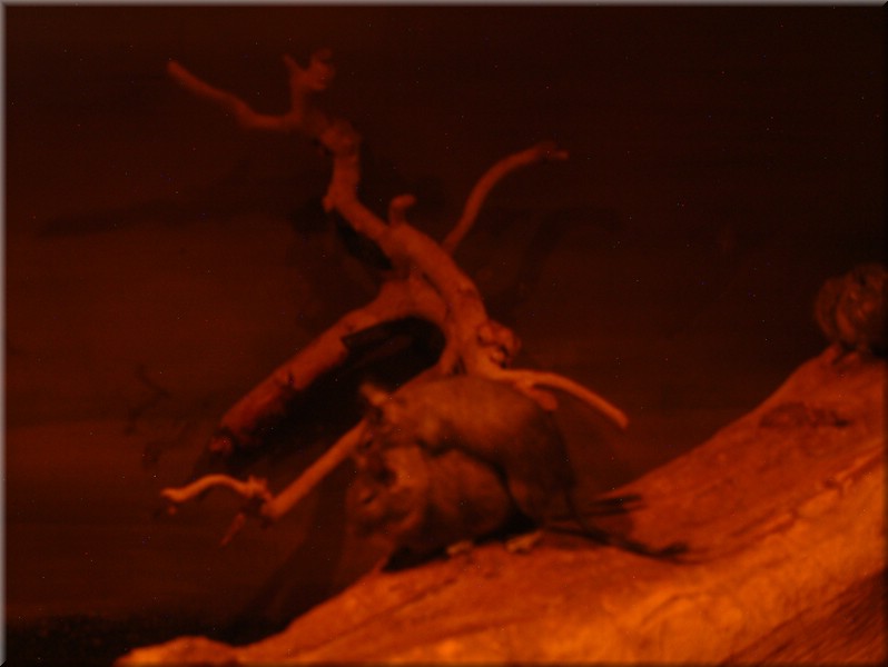 DSCF1090.JPG