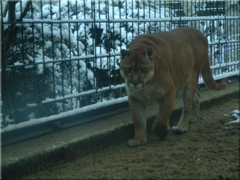 DSCF1099.JPG