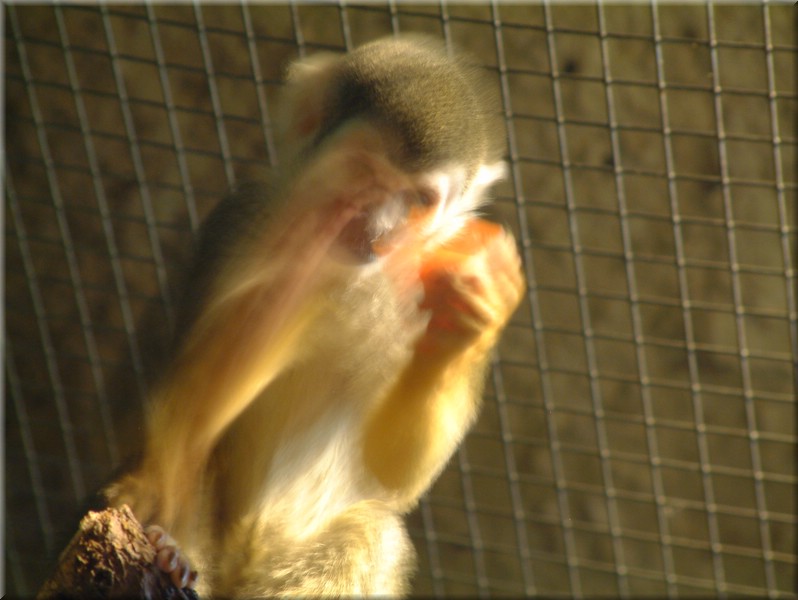 DSCF1121.JPG