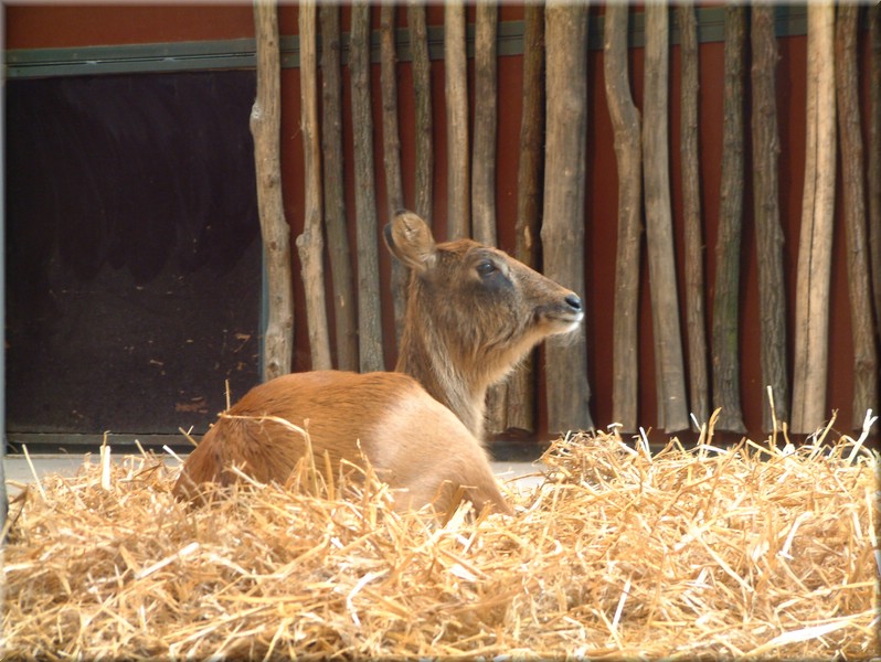 DSCF1176.JPG