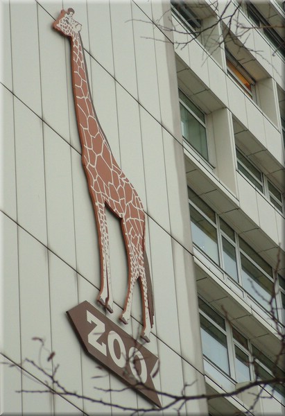 Dscf0812.jpg