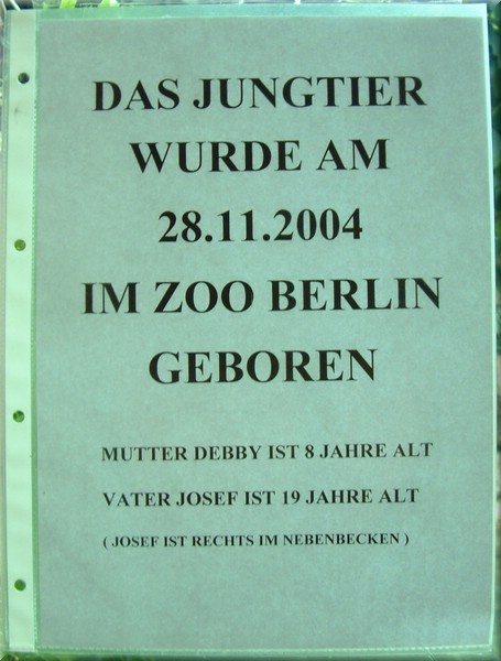 Dscf0842.jpg