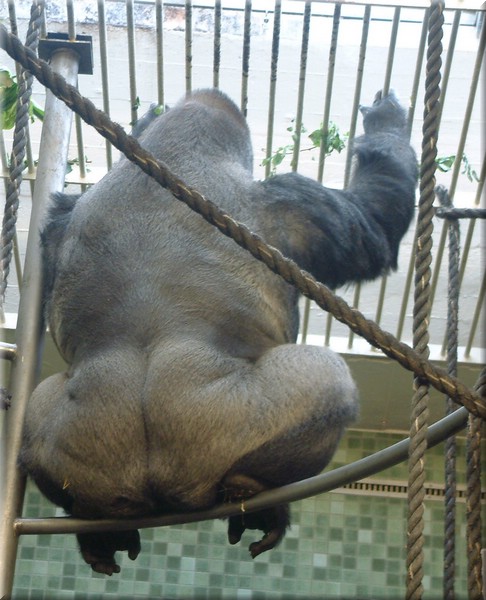 Dscf1153.jpg
