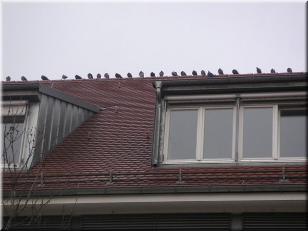 22Ravensburg.JPG