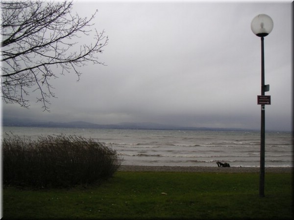 24Bodensee.JPG