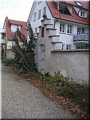 34Bodensee.JPG