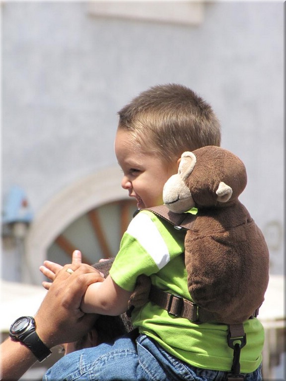 IMG_1485_monkey.JPG