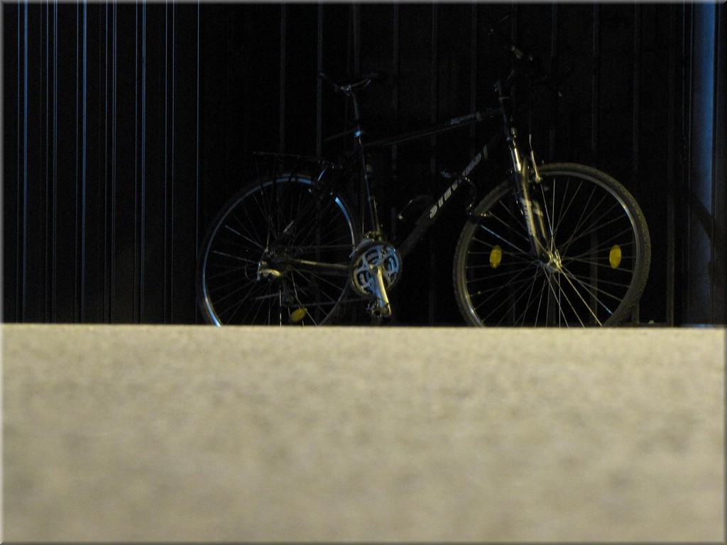 03_Pisa_by_night_ (17).JPG