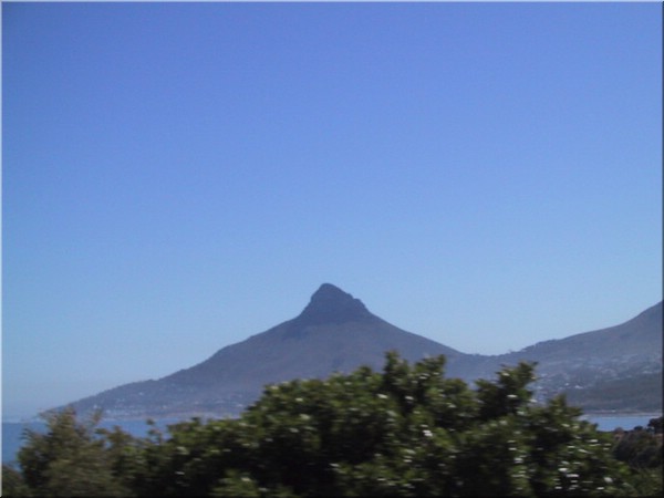 017 Lions Head .jpg