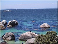 053 Boulders Bay - bei den Pinguinen .jpg