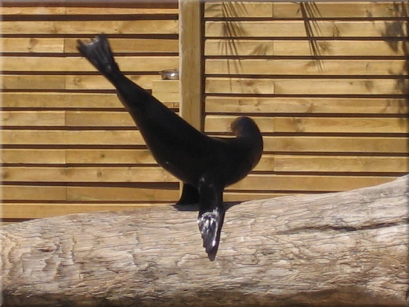 24Amneville2005.JPG