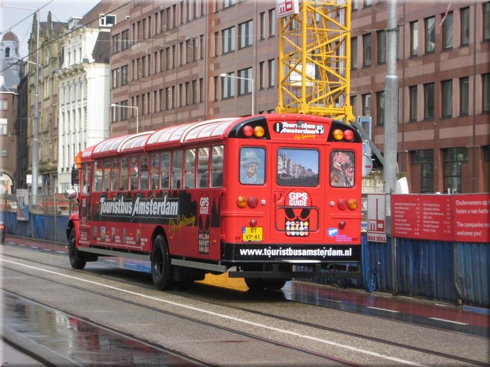 IMG_0708 (Large).JPG