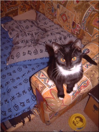 03.jpg