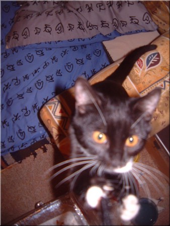 04.jpg