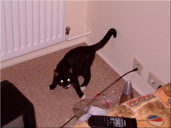 05.jpg