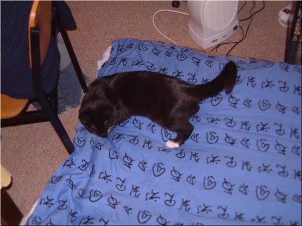 07.jpg