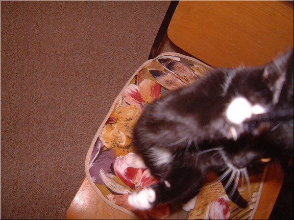 09.jpg