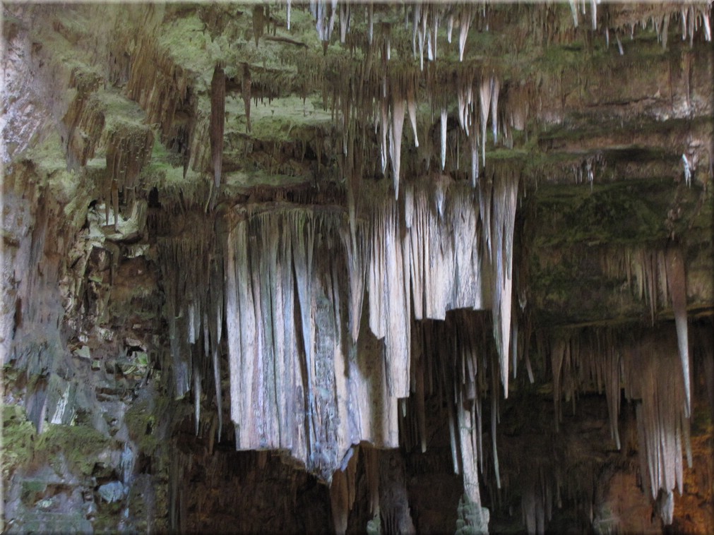 Italien_20012_251_Grotta_di_Castellana.JPG