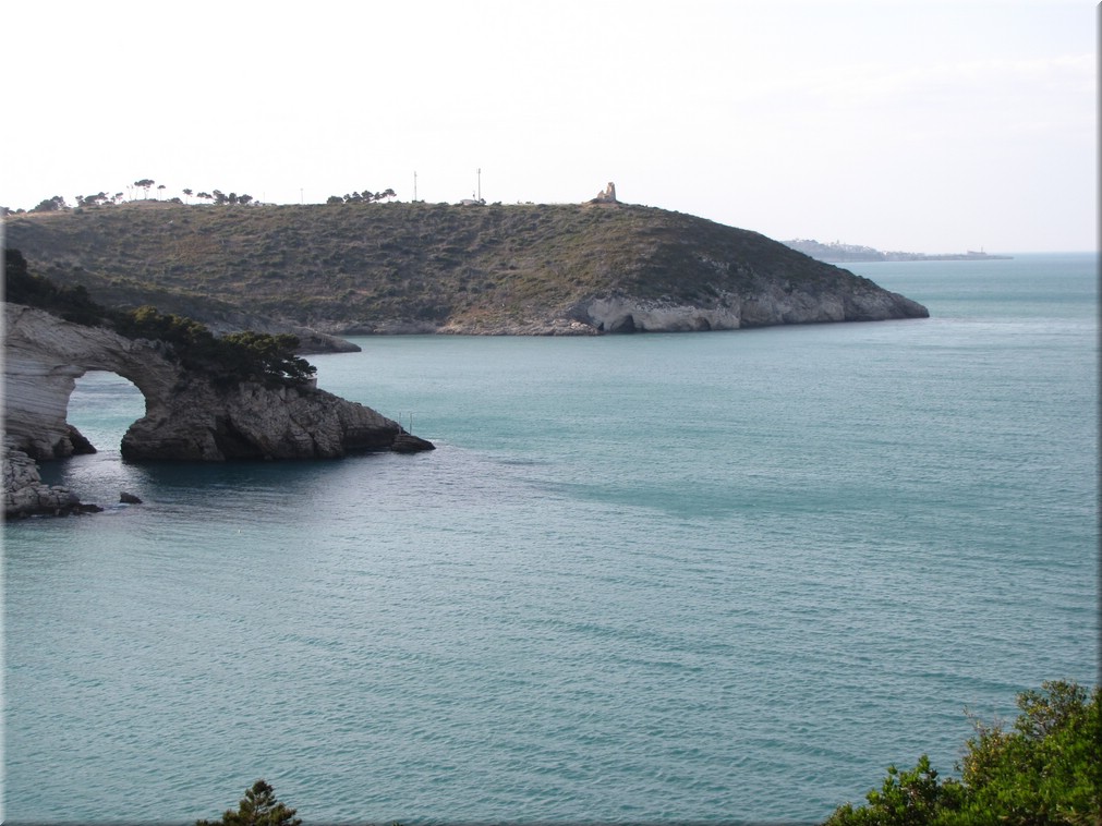 Italien_20012_280_Vieste_Parco_Nationale_del_Gargano.JPG