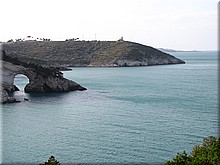 Italien_20012_280_Vieste_Parco_Nationale_del_Gargano.JPG