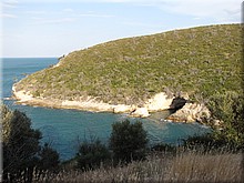 Italien_20012_282_Vieste_Parco_Nationale_del_Gargano.JPG