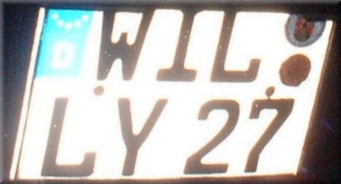 Willy.JPG
