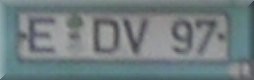 edv.JPG