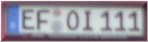 efoi.jpg