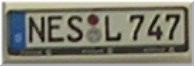 nesl.jpg