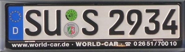 sus.JPG