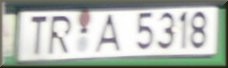 tra.jpg