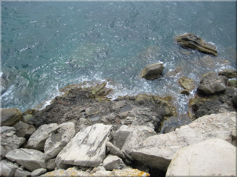 IMG_1930.jpg