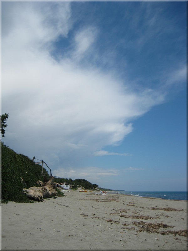 IMG_2130.JPG