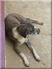 29062005_img_2297_frank.JPG