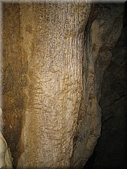 29062005_img_2322_frank.JPG