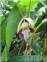 29062005_img_2330_frank.JPG